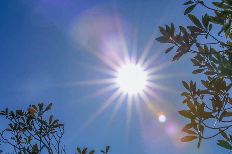 主流媒体评, 让观众在座, 以雷霆之势 主流媒体评, 让观众在座, 以雷霆之势