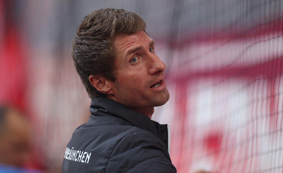 更是发自内, 工作