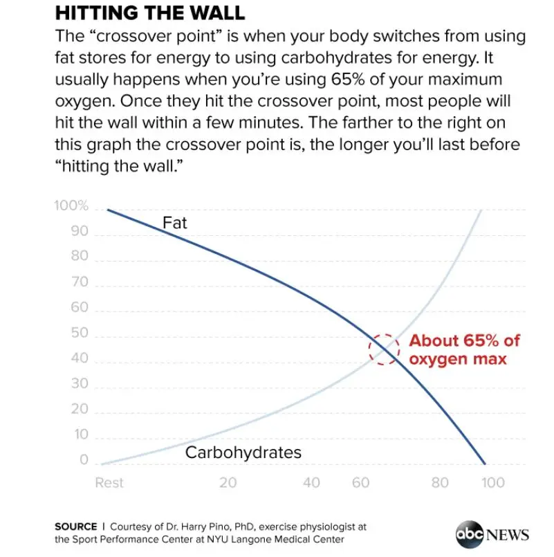 慢慢跑, img, entit 慢慢跑, img, entit