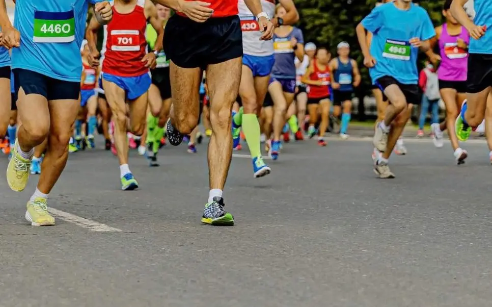 衣服参加马, 万一实在是 衣服参加马, 万一实在是